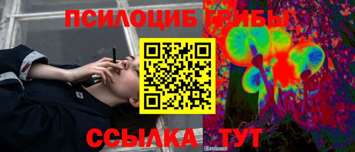 Псилоцибиновые грибы прущие грибы  где продают наркотики  Орск  Вход с VPN 